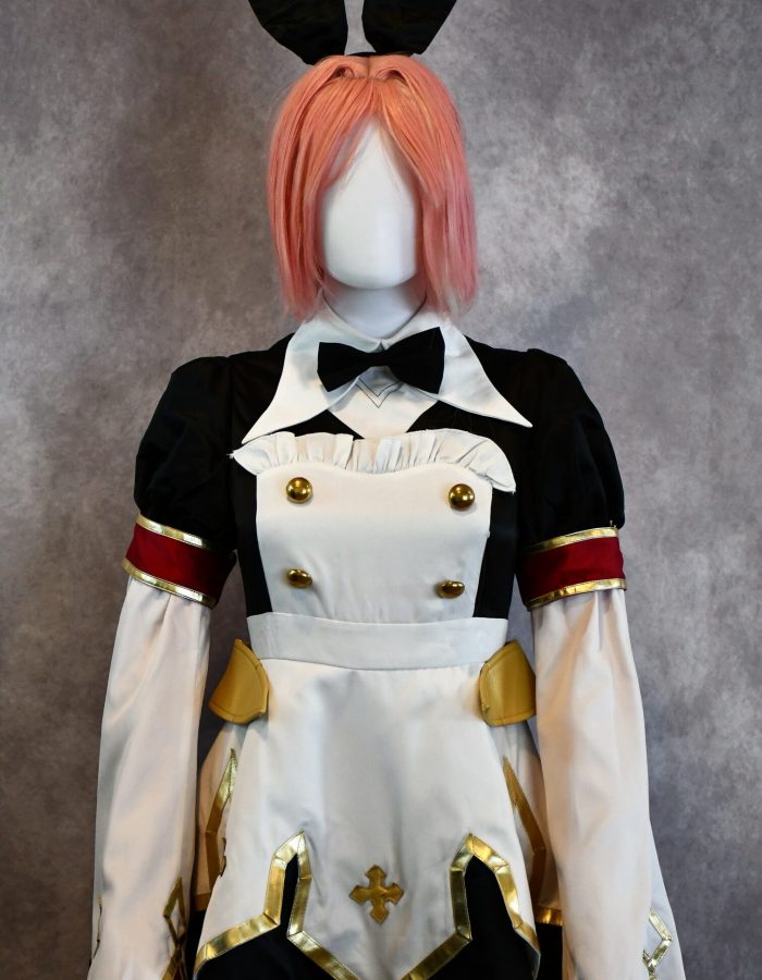 Games Fate Grand Order Astolfo Maid cosplay costume outfit. Preowned.