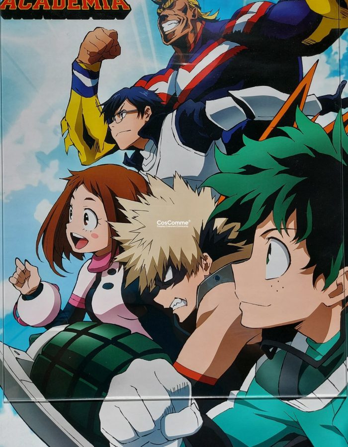 PRE-OWNED My Hero Academia Wall Anime Poster